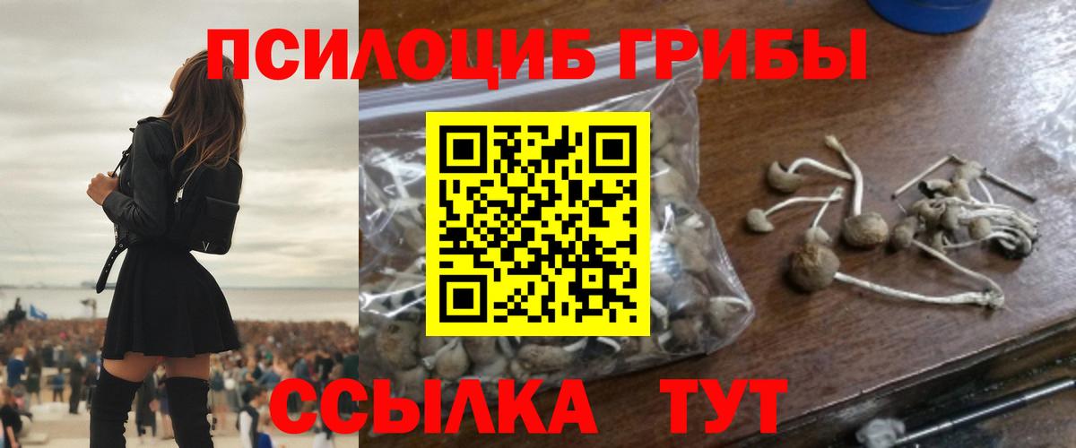 Бор  Псилоцибиновые грибы мухоморы  Вход с VPN 